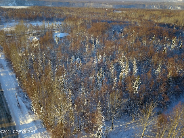 15701 E Clark Rd, Palmer, AK 99645 - photo 17
