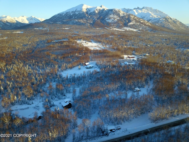 15701 E Clark Rd, Palmer, AK 99645 - photo 18