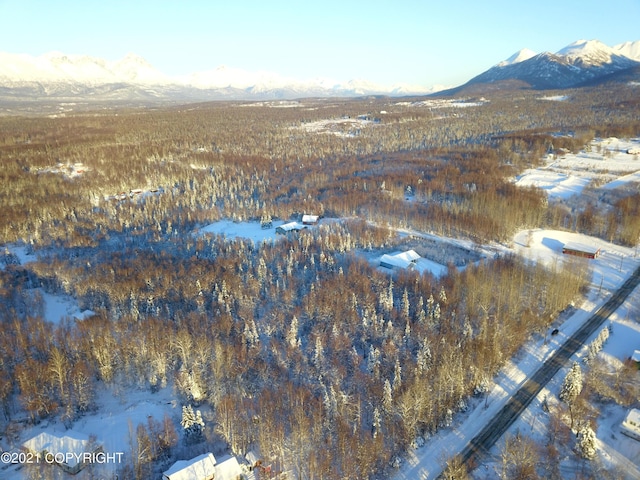 15701 E Clark Rd, Palmer, AK 99645 - photo 19