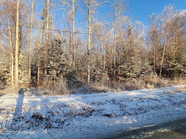 15701 E Clark Rd, Palmer, AK 99645 - photo 20