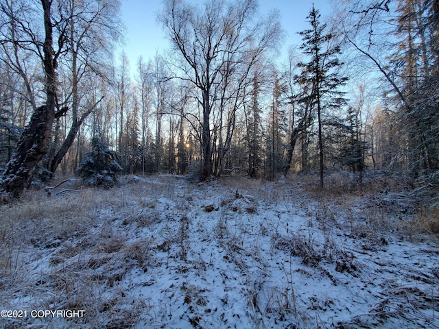 15701 E Clark Rd, Palmer, AK 99645 - photo 22
