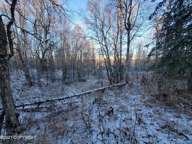 15701 E Clark Rd, Palmer, AK 99645 - photo 25