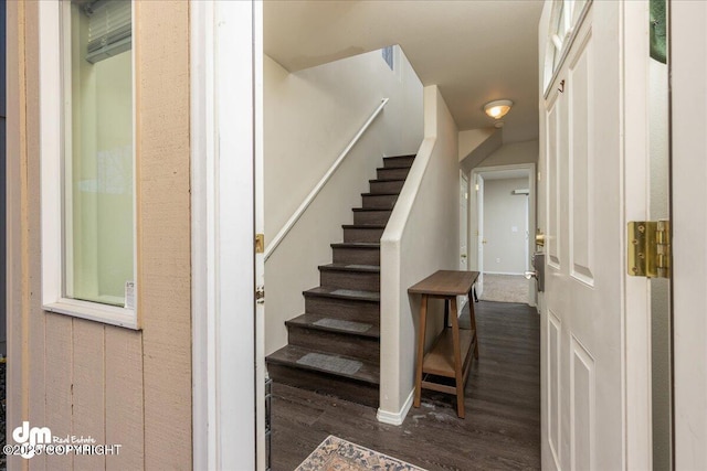 staircase featuring wood-type flooring