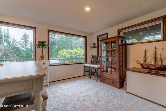 living area with a textured ceiling and light carpet