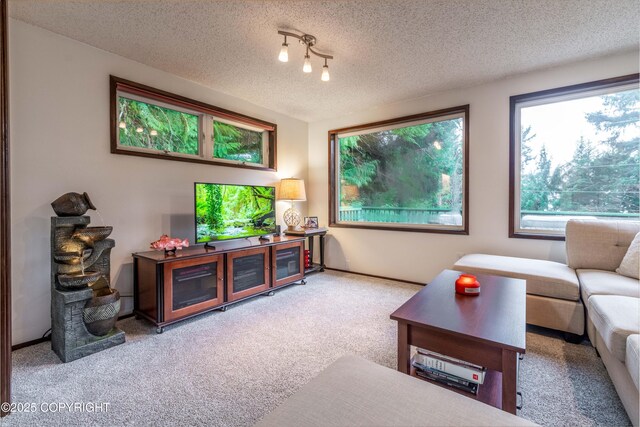 carpeted living room featuring a textured ceiling and track lighting