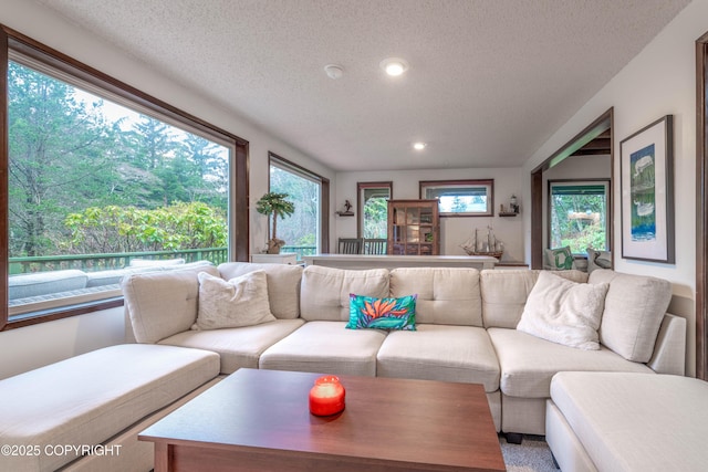 living room featuring a textured ceiling and a healthy amount of sunlight