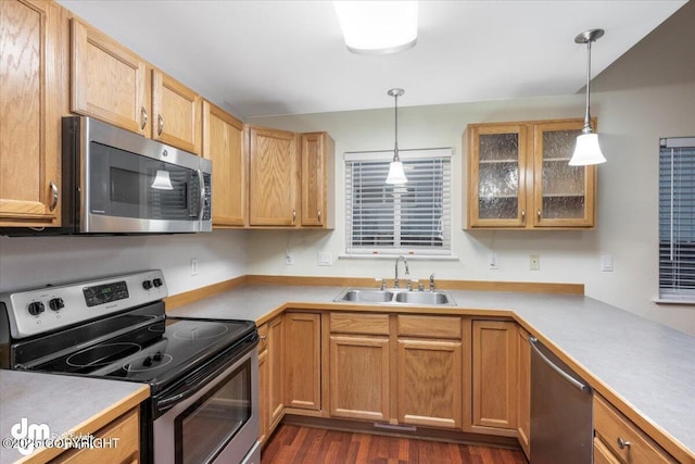 kitchen featuring sink, dark hardwood / wood-style floors, hanging light fixtures, and stainless steel appliances