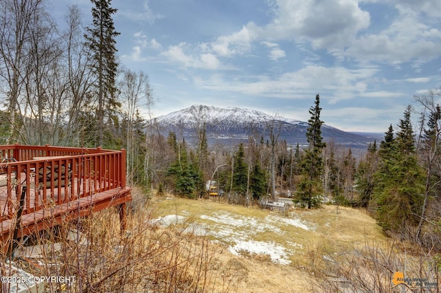 property view of mountains with a forest view