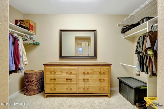 walk in closet with light carpet