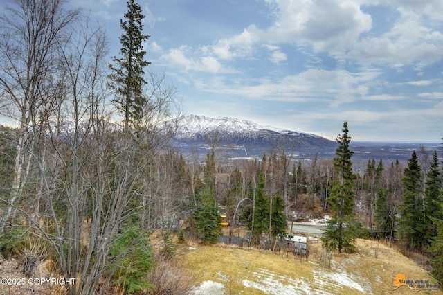 mountain view featuring a wooded view