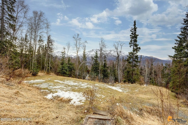 view of landscape featuring a mountain view and a view of trees