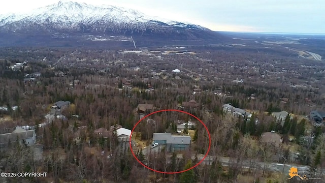 bird's eye view featuring a mountain view