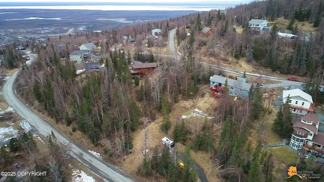 bird's eye view with a wooded view