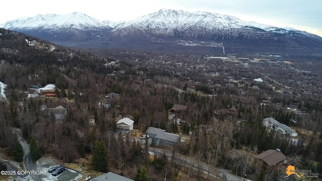 aerial view with a mountain view