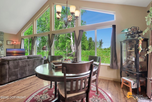 dining room with high vaulted ceiling and hardwood / wood-style floors