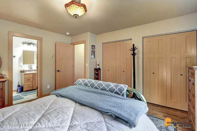 bedroom with sink, two closets, light hardwood / wood-style floors, and connected bathroom