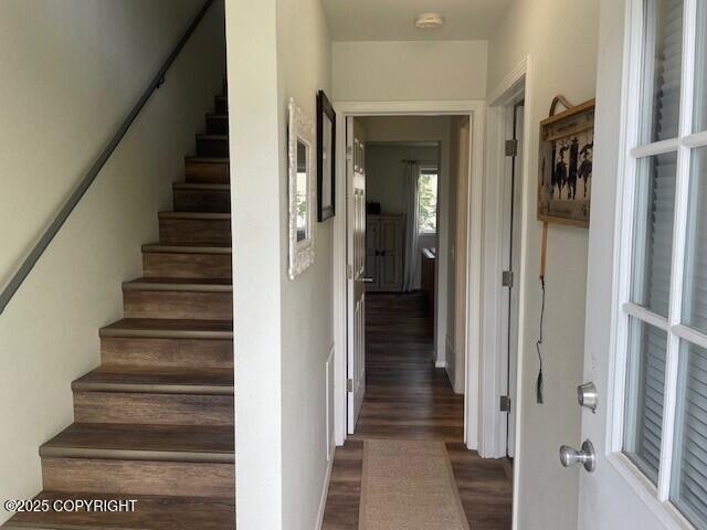 stairs featuring hardwood / wood-style floors