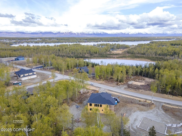 1690 W Valley Ridge Dr, Wasilla, AK 99654 - bird's eye view of a forest and a large body of water