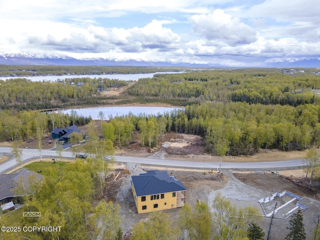 1690 W Valley Ridge Dr, Wasilla, AK 99654 - bird's eye view of a nearby body of water and a forest