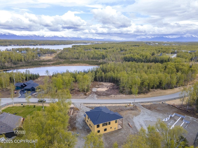 1690 W Valley Ridge Dr, Wasilla, AK 99654 - aerial view of a forest and a large body of water