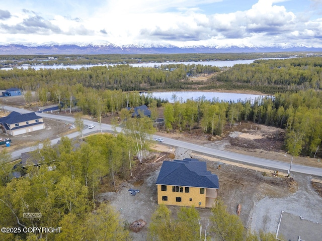1690 W Valley Ridge Dr, Wasilla, AK 99654 - drone / aerial view of a forest and a large body of water