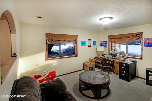 12300 E Biscane Dr, Palmer, AK 99645 - photo 48