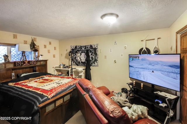 12300 E Biscane Dr, Palmer, AK 99645 - photo 56