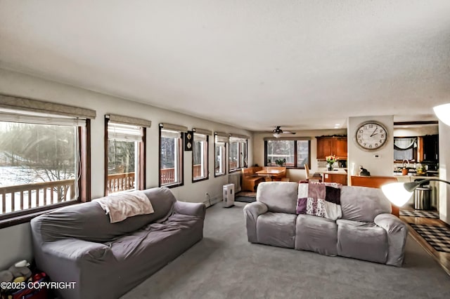 12300 E Biscane Dr, Palmer, AK 99645 - photo 27