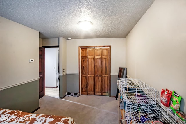 12300 E Biscane Dr, Palmer, AK 99645 - photo 52