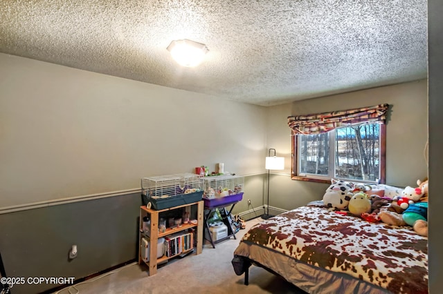 12300 E Biscane Dr, Palmer, AK 99645 - photo 51