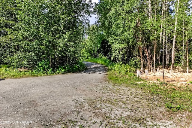 12300 E Biscane Dr, Palmer, AK 99645 - photo 18
