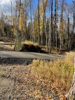 Listing photo 3 for LOT11 Authentic Rd, Soldotna AK 99669