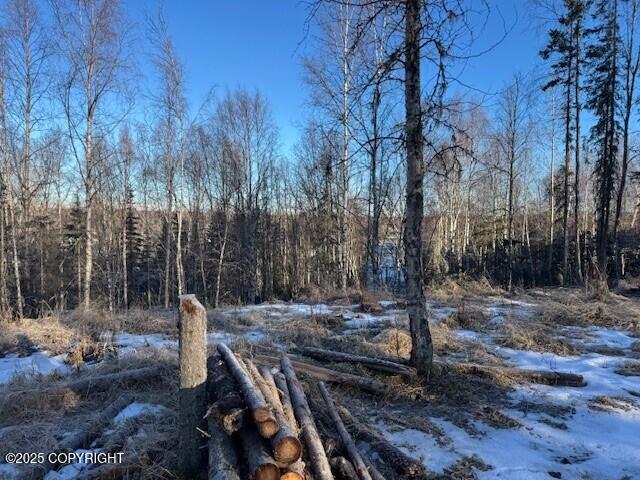 375 Diane Ln, Soldotna, AK 99669 - photo 4