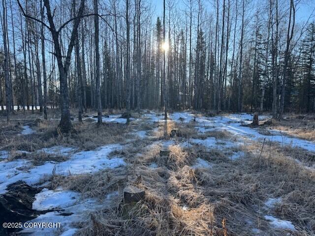 375 Diane Ln, Soldotna, AK 99669 - photo 5
