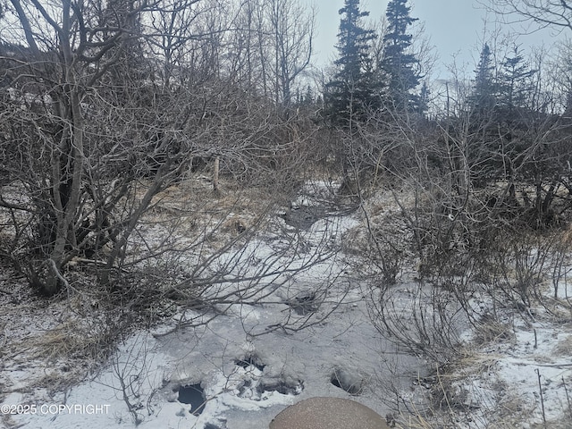 8400 George Ct, Anchorage, AK 99516 - view of snowy view