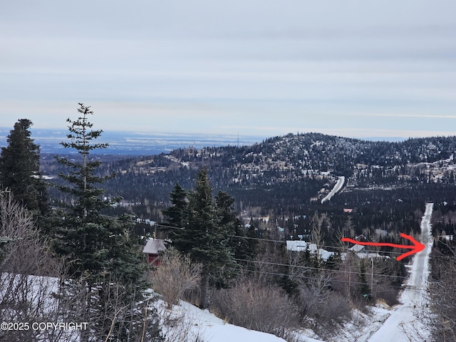 8400 George Ct, Anchorage, AK 99516 - view of mountain feature
