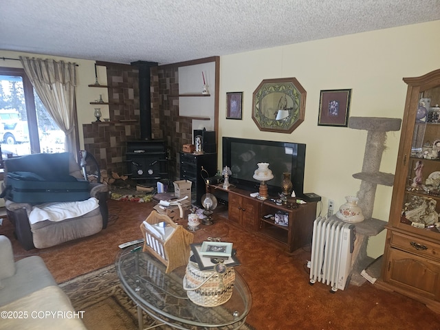 8400 George Ct, Anchorage, AK 99516 - living room with a wood stove, dark carpet, a textured ceiling, and radiator heating unit