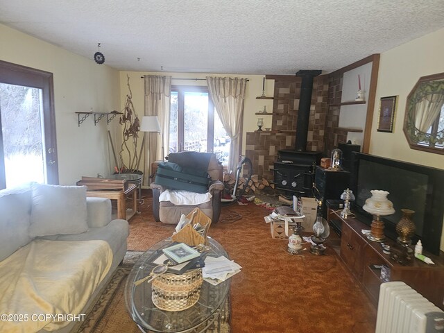 8400 George Ct, Anchorage, AK 99516 - carpeted living room with a wood stove, radiator, and a textured ceiling