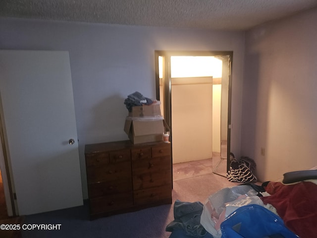 8400 George Ct, Anchorage, AK 99516 - bedroom with light colored carpet and a textured ceiling