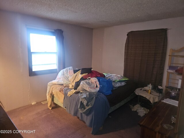 8400 George Ct, Anchorage, AK 99516 - carpeted bedroom featuring a textured ceiling