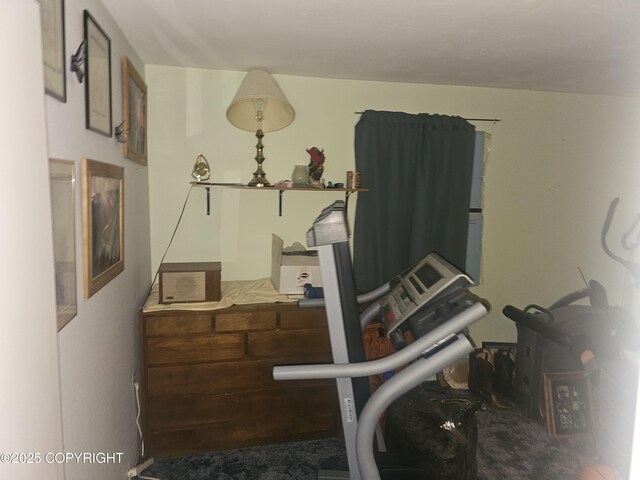 8400 George Ct, Anchorage, AK 99516 - view of workout room