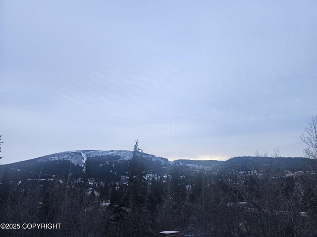 8400 George Ct, Anchorage, AK 99516 - property view of mountains