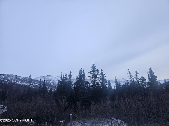 8400 George Ct, Anchorage, AK 99516 - mountain view