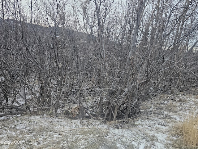 8400 George Ct, Anchorage, AK 99516 - view of local wilderness