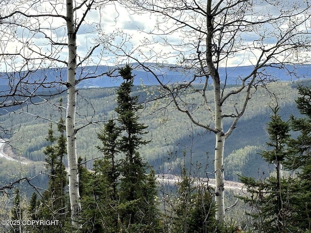L32B3 Olnes Loop Rd, Fairbanks, AK 99712 - photo 1