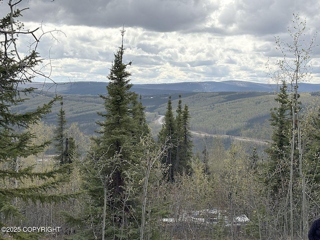 L32B3 Olnes Loop Rd, Fairbanks, AK 99712 - photo 2
