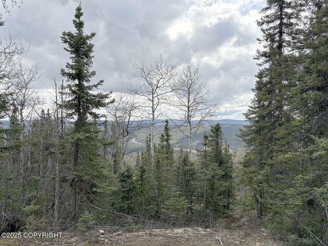 L32B3 Olnes Loop Rd, Fairbanks, AK 99712 - photo 3