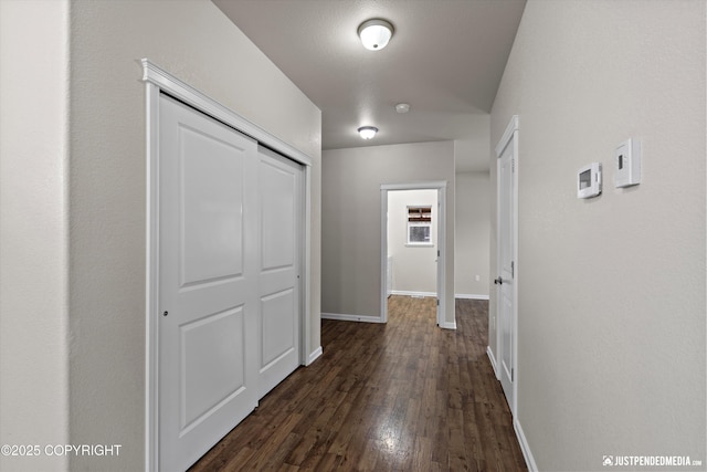 hallway with dark hardwood / wood-style floors