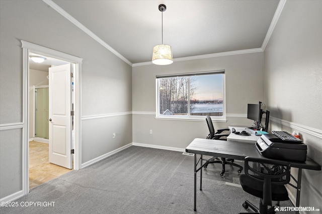 office space featuring ornamental molding and carpet