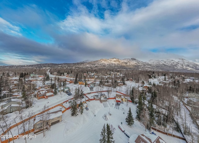 snowy aerial view featuring a mountain view